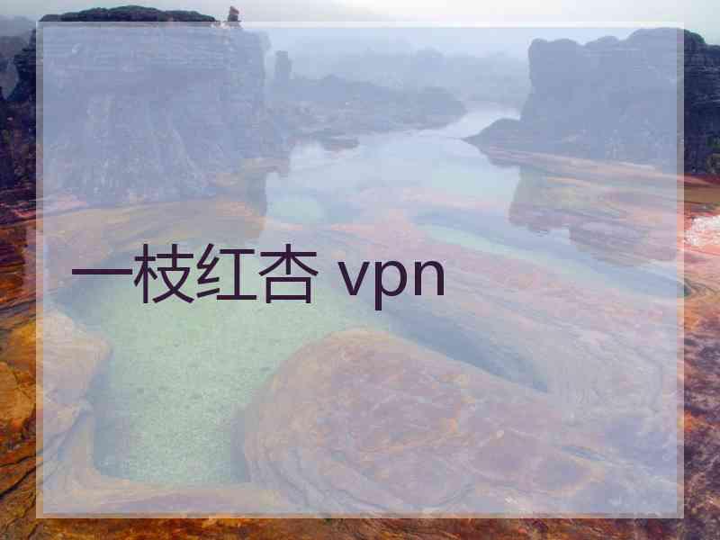 一枝红杏 vpn