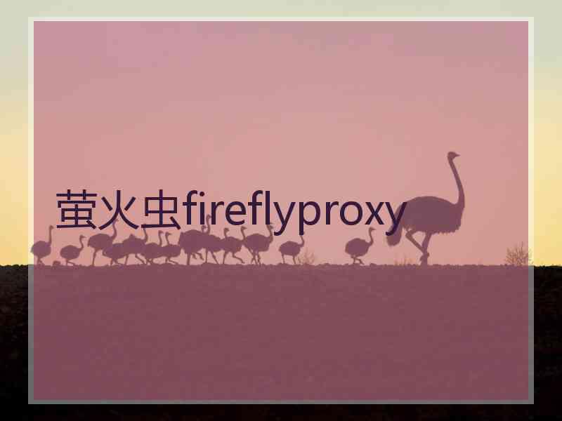 萤火虫fireflyproxy