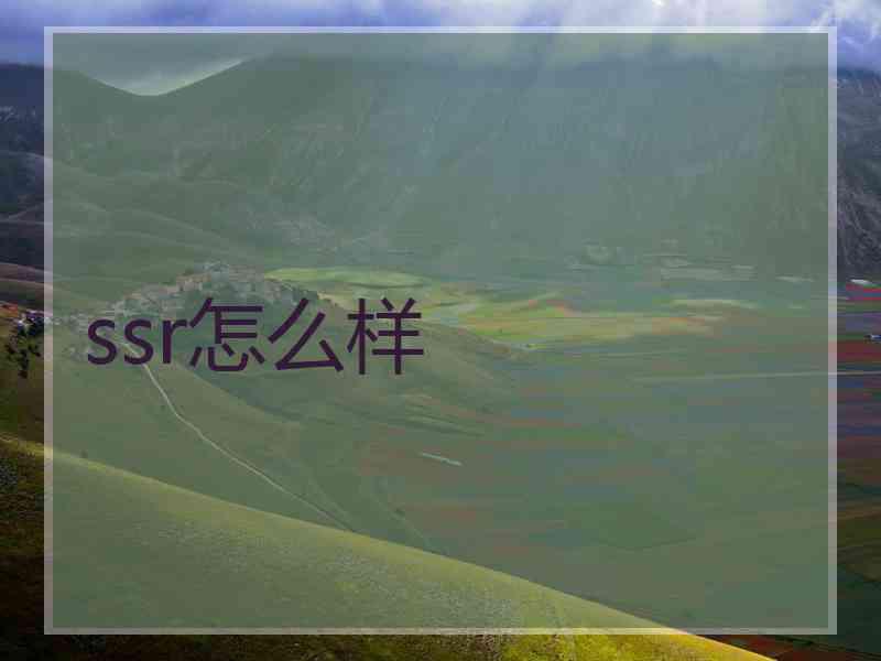 ssr怎么样