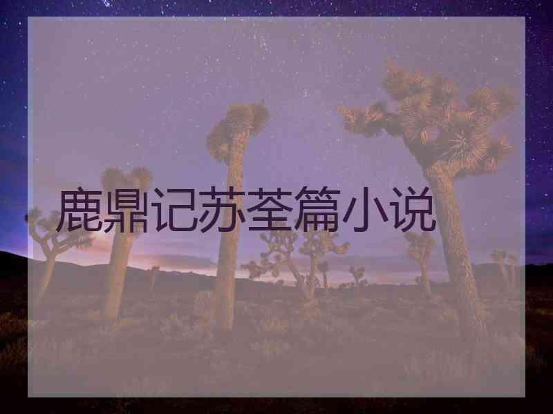 鹿鼎记苏荃篇小说
