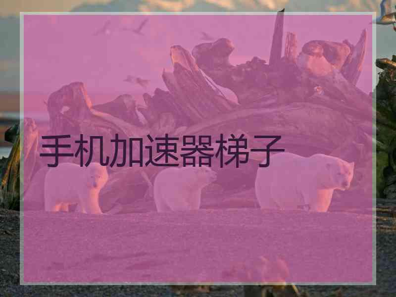 手机加速器梯子