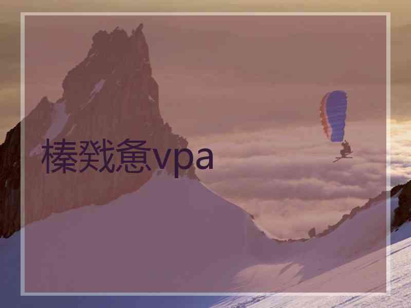 榛戣惫vpa