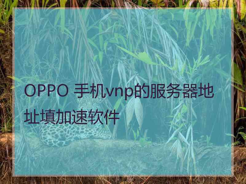 OPPO 手机vnp的服务器地址填加速软件