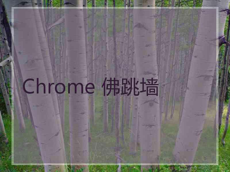 Chrome 佛跳墙