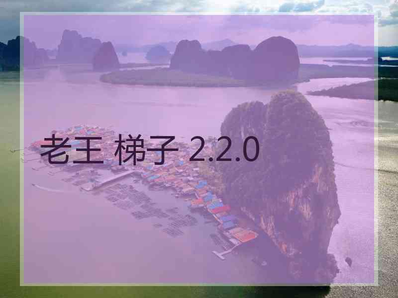老王 梯子 2.2.0
