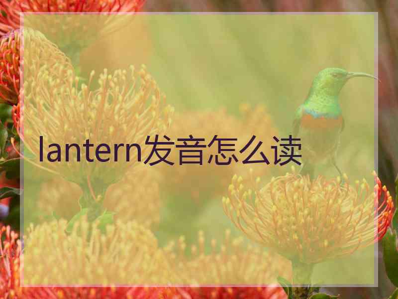 lantern发音怎么读