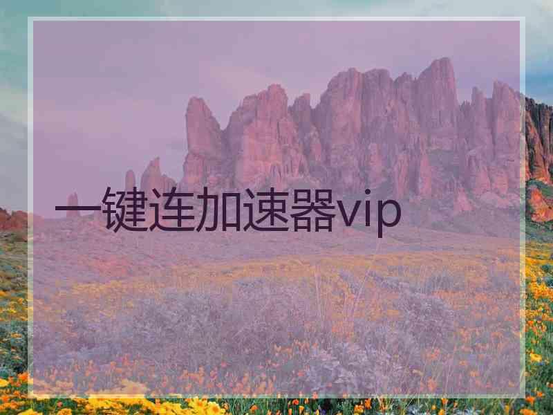 一键连加速器vip