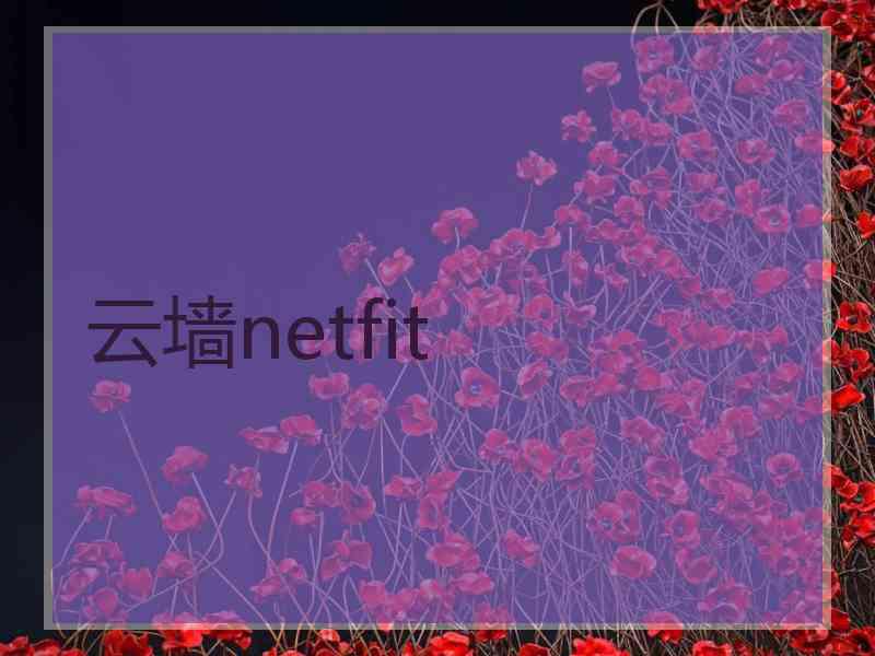 云墙netfit