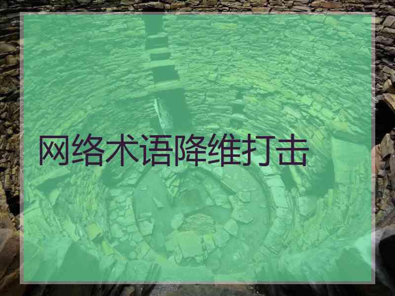 网络术语降维打击