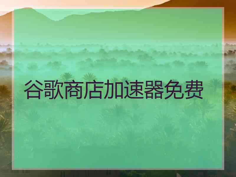 谷歌商店加速器免费