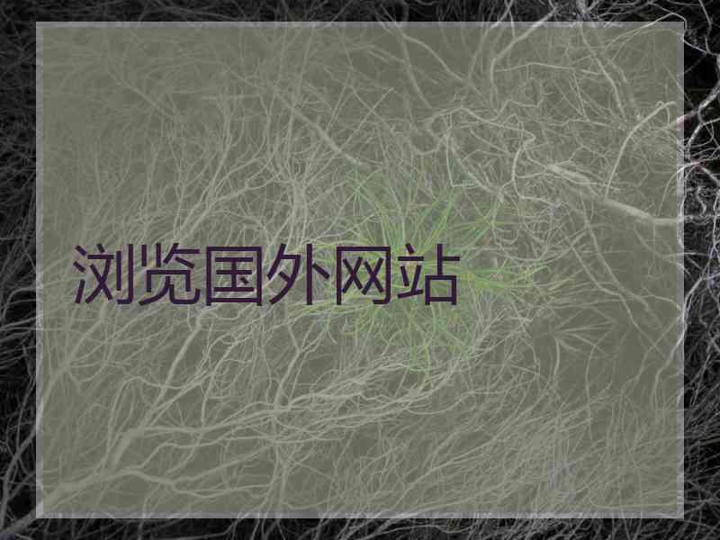 浏览国外网站