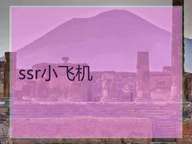 ssr小飞机