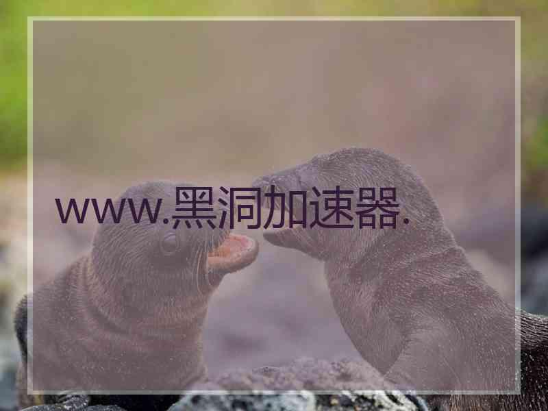 www.黑洞加速器.
