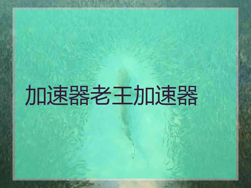 加速器老王加速器
