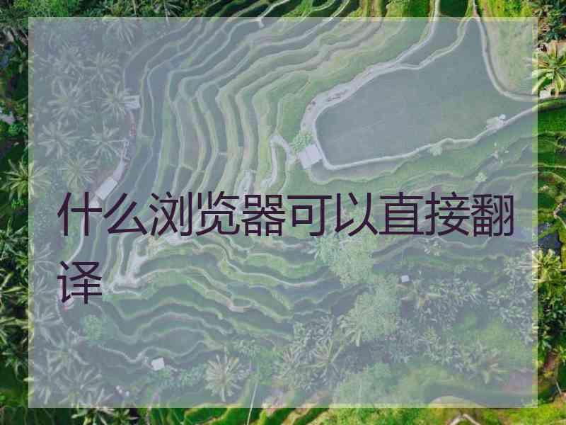 什么浏览器可以直接翻译