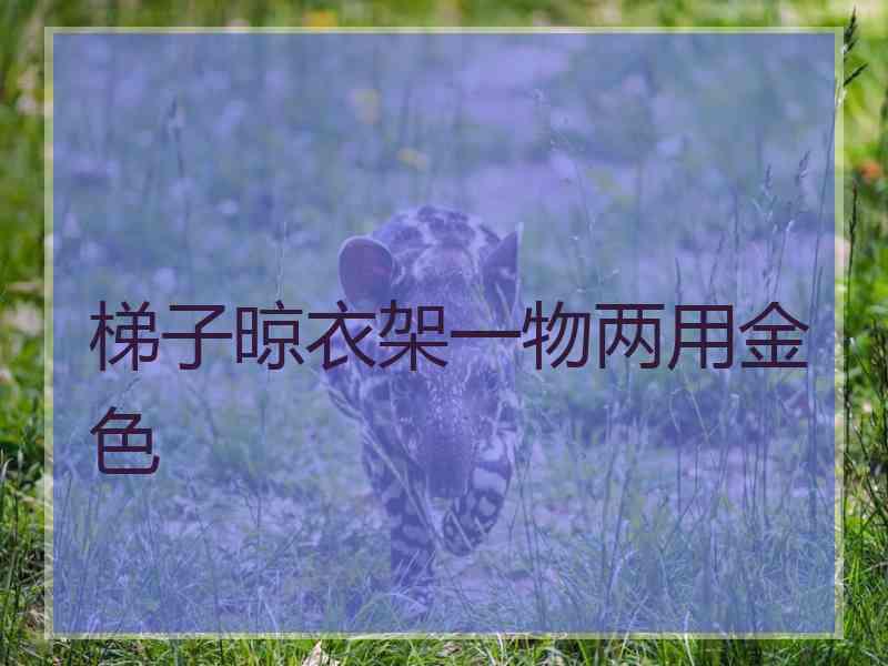 梯子晾衣架一物两用金色