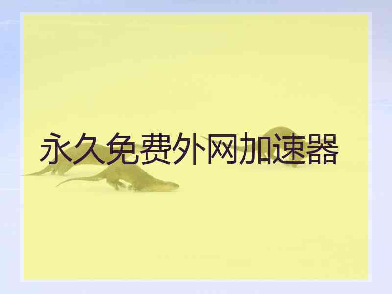 永久免费外网加速器