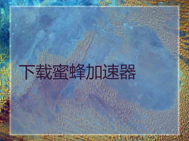 下载蜜蜂加速器
