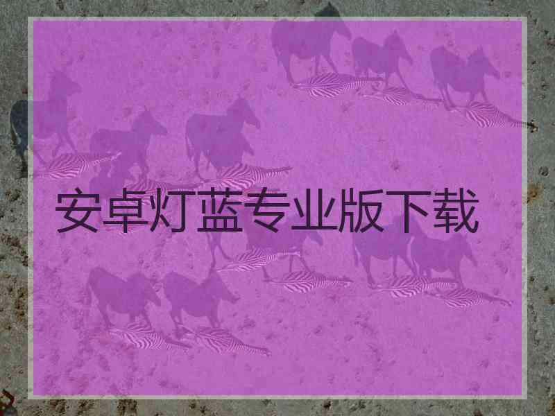 安卓灯蓝专业版下载