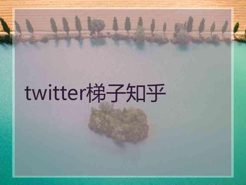 twitter梯子知乎