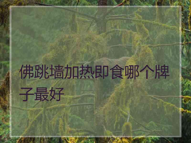 佛跳墙加热即食哪个牌子最好