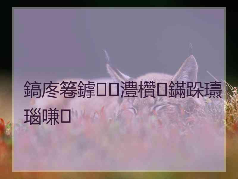鎬庝箞鎼澧欑鏋跺瓙瑙嗛