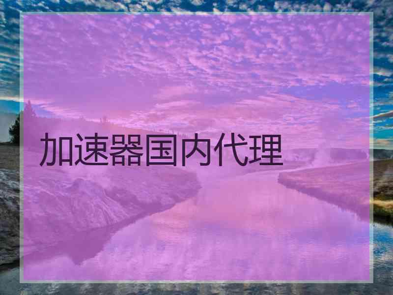 加速器国内代理