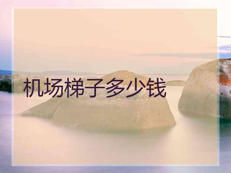 机场梯子多少钱