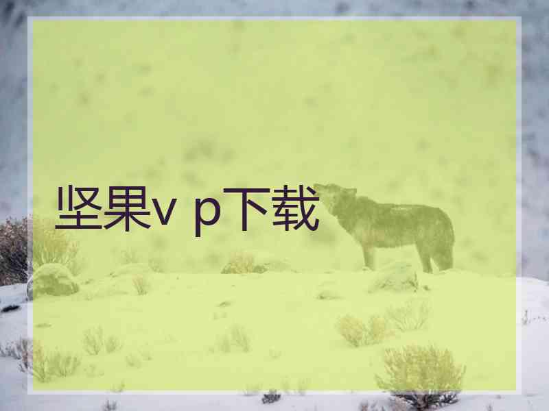 坚果v p下载