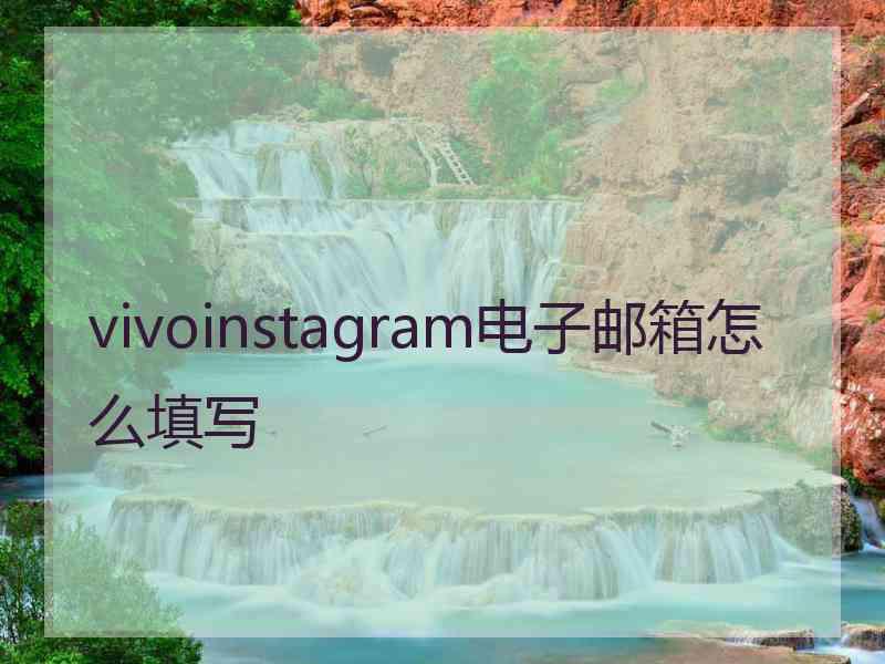 vivoinstagram电子邮箱怎么填写