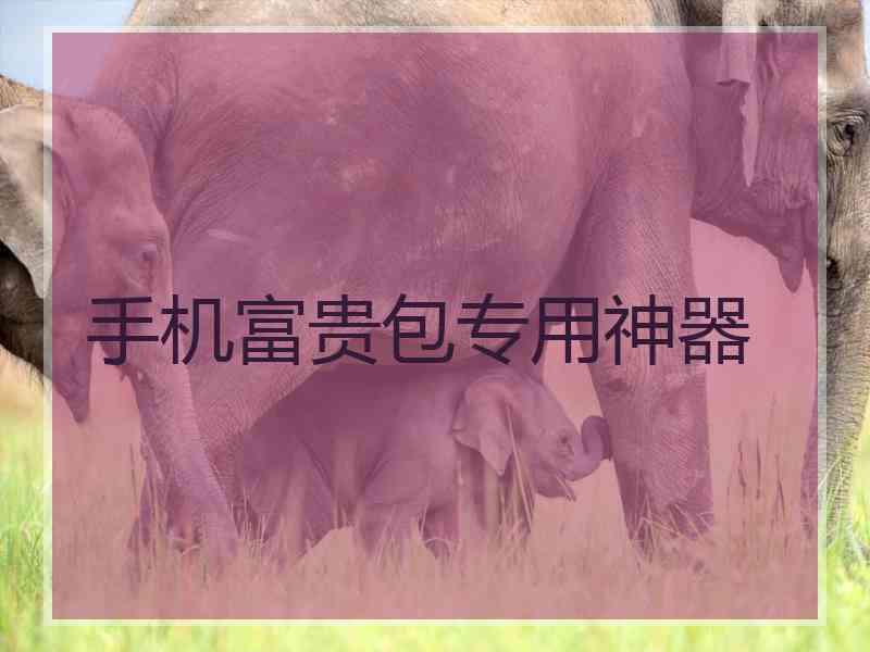 手机富贵包专用神器