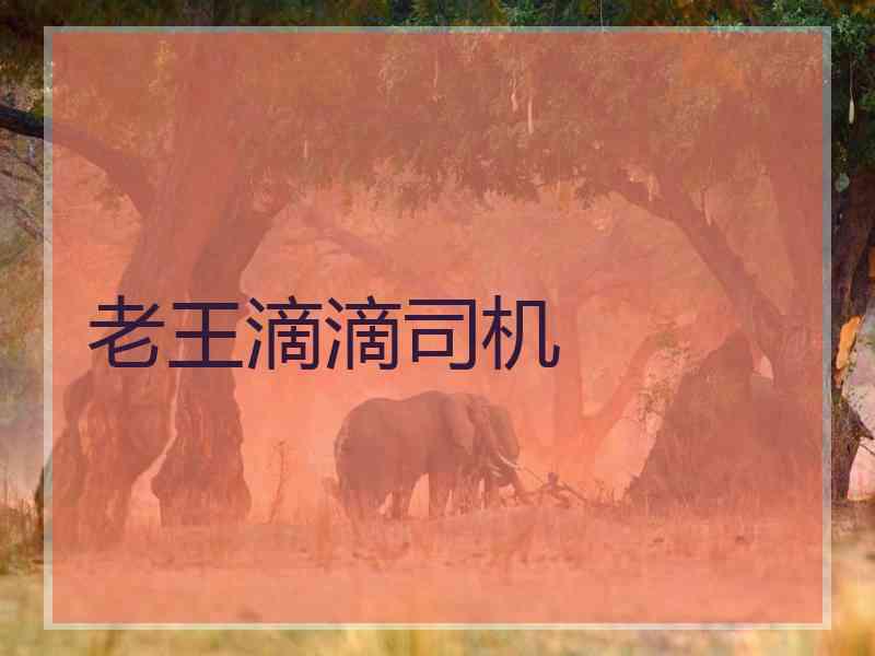 老王滴滴司机