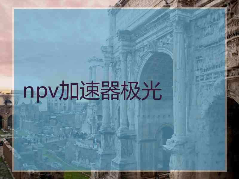 npv加速器极光