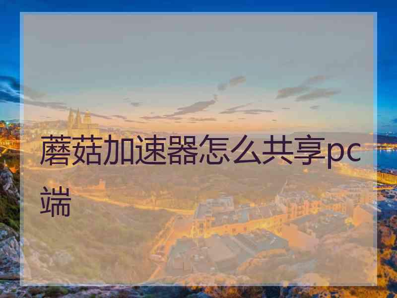 蘑菇加速器怎么共享pc端