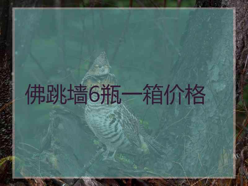 佛跳墙6瓶一箱价格