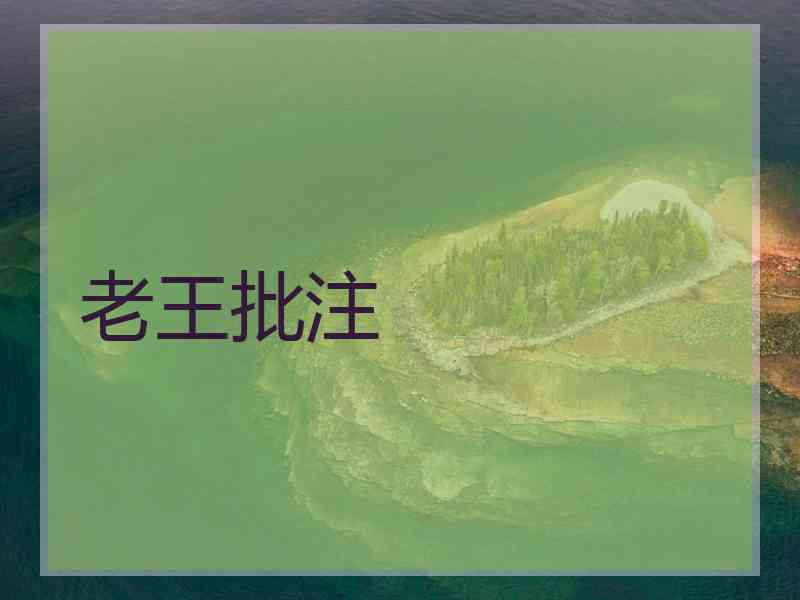 老王批注