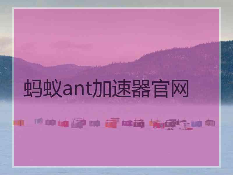 蚂蚁ant加速器官网