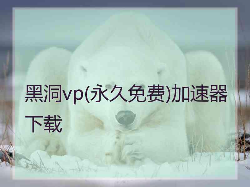 黑洞vp(永久免费)加速器下载