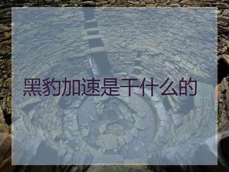 黑豹加速是干什么的