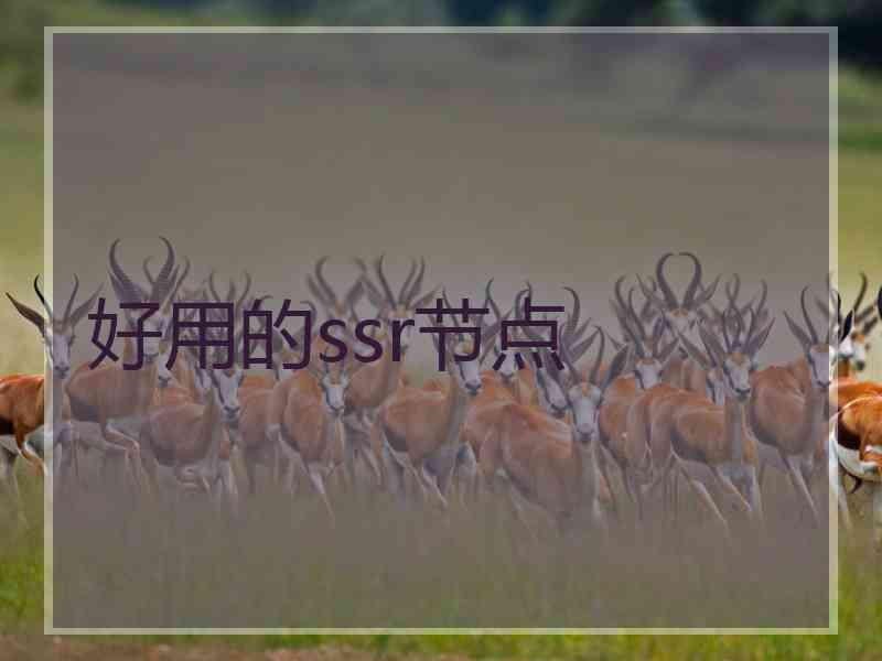 好用的ssr节点