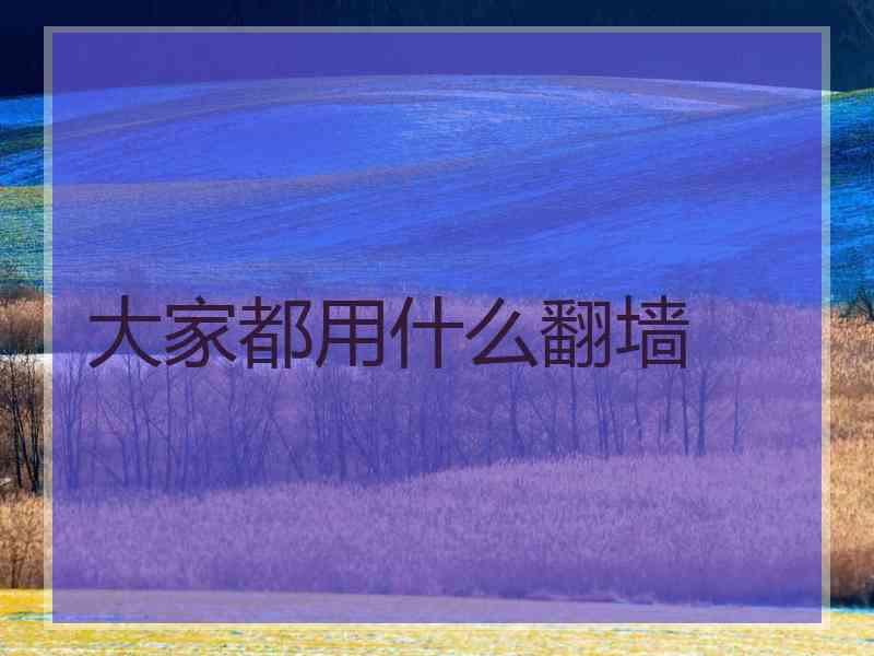 大家都用什么翻墙