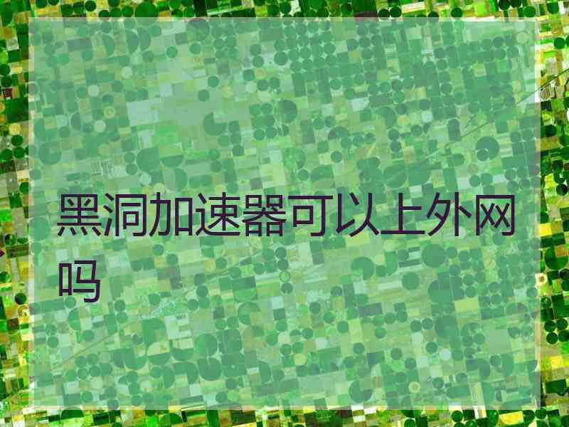黑洞加速器可以上外网吗