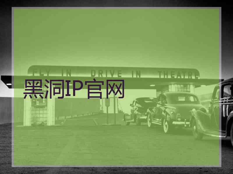 黑洞IP官网