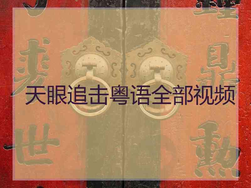 天眼追击粤语全部视频