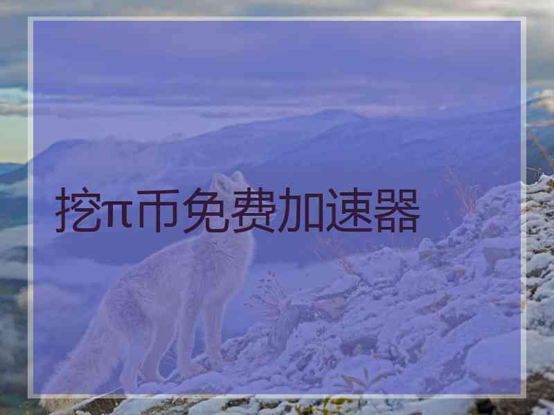 挖π币免费加速器