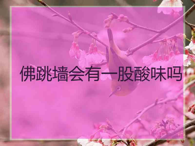 佛跳墙会有一股酸味吗