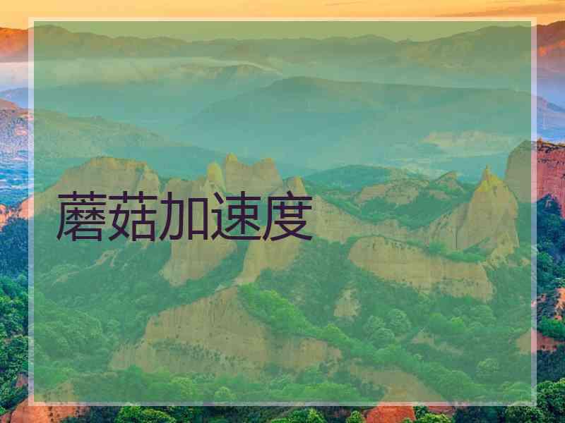蘑菇加速度