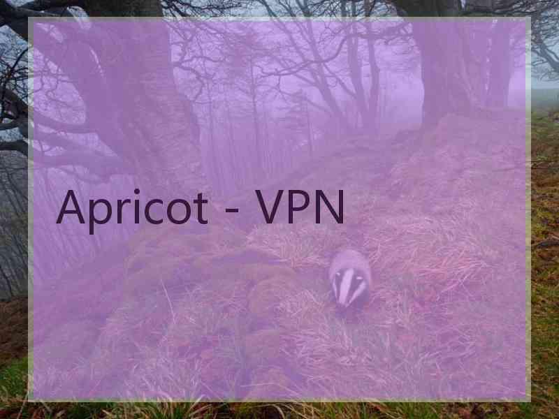 Apricot - VPN