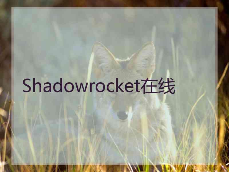 Shadowrocket在线