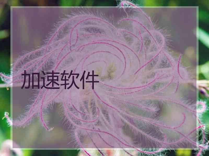加速软件